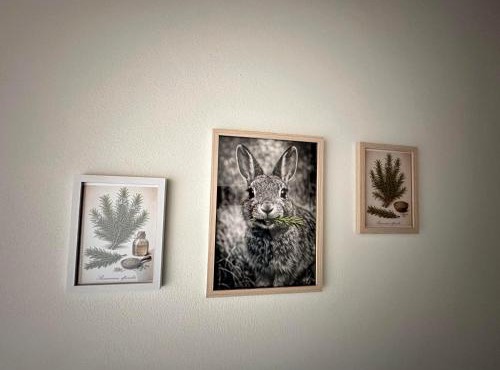B&B Il Rosmarino