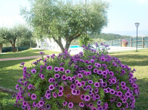 Casale il Colle Deruta
